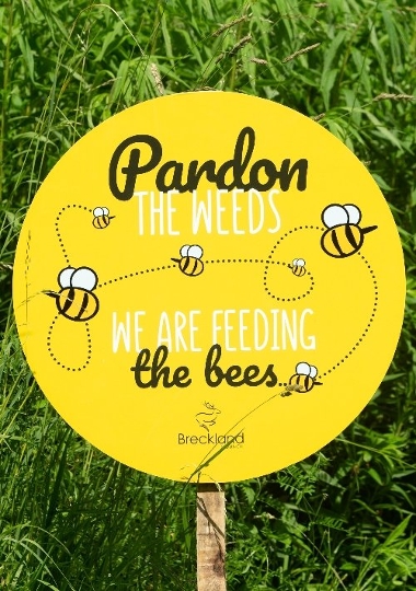 Yellow round sign with bees and the wording 'Pardon the weeds, we are feeding the bees'