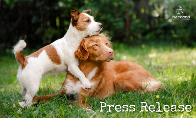 PawPrints PR