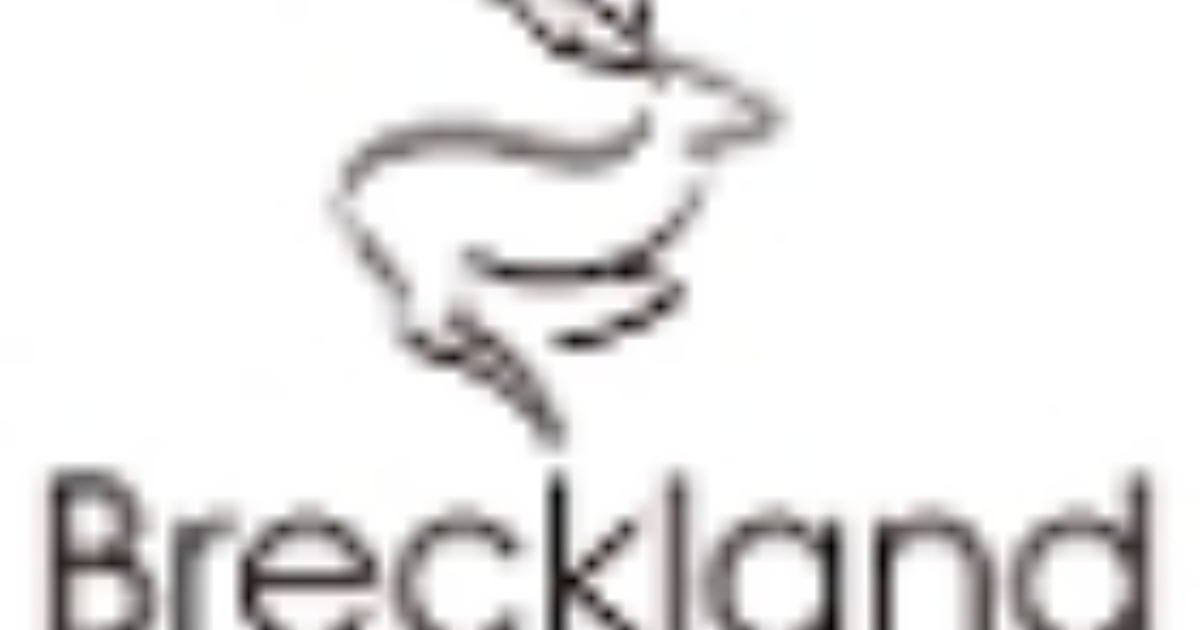 05/02/2024: Breckland Chairman joins council colleagues to honour 'Dereham Heroes' 